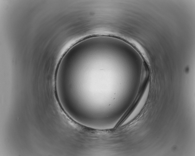 X0000092001191200709131508