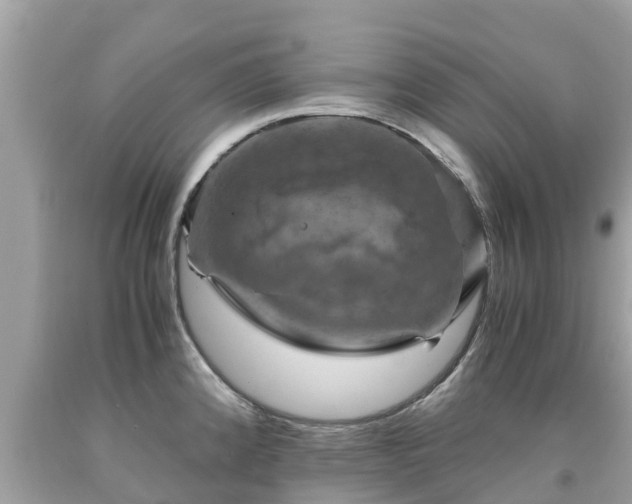 X0000092001192200709131508