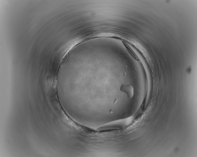 X0000092001193200709131508