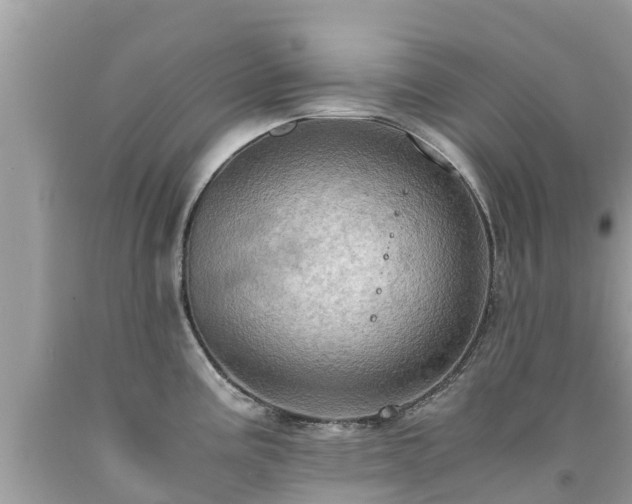 X0000092001195200709131508