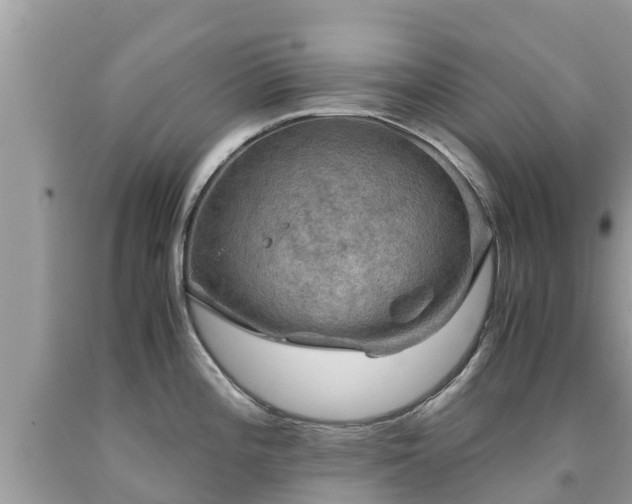 X0000092001196200709131508