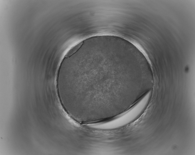 X0000092001197200709131508