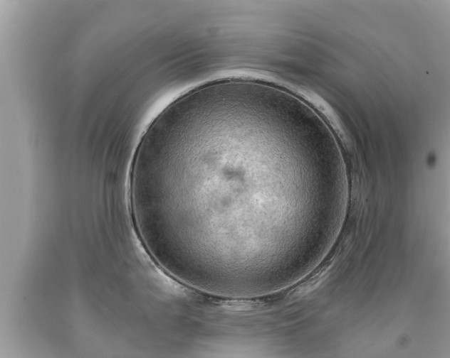 X0000092001199200709131508