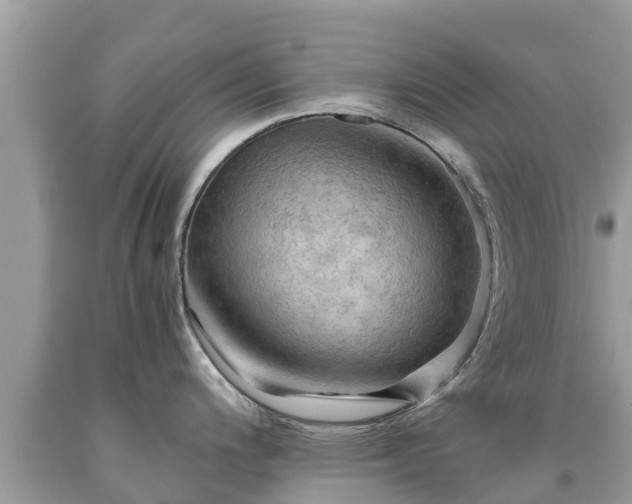 X0000092001200200709131508