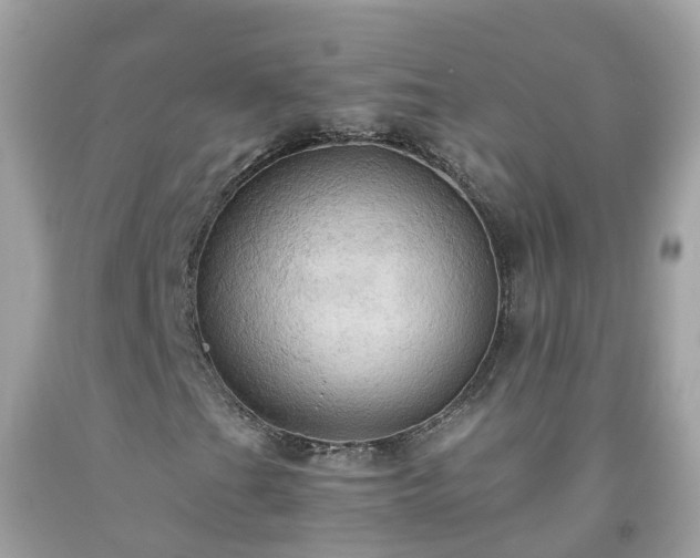 X0000092001201200709131507