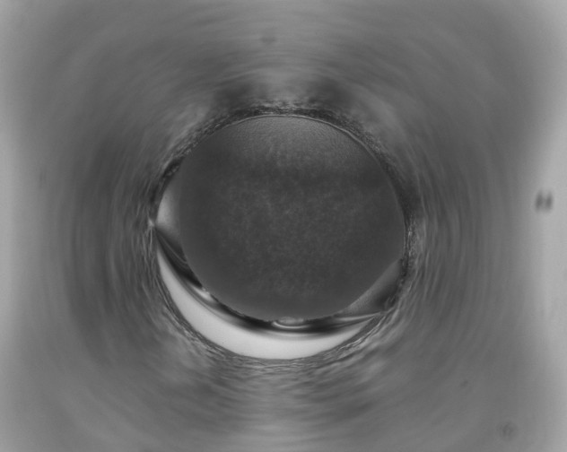 X0000092001202200709131507