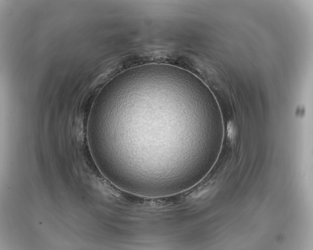 X0000092001203200709131507