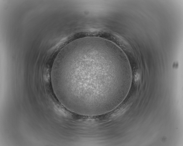 X0000092001204200709131507