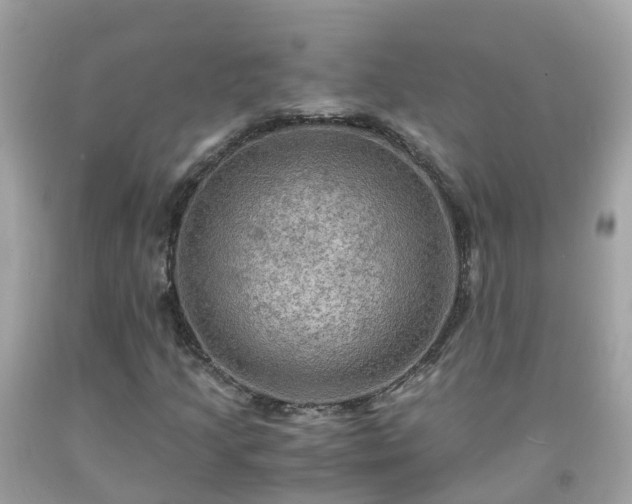 X0000092001205200709131507