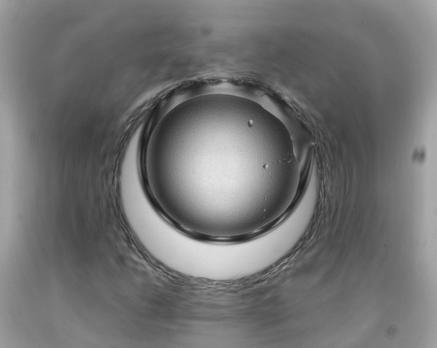 X0000092001206200709131507