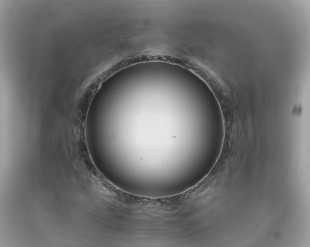 X0000092001207200709131507