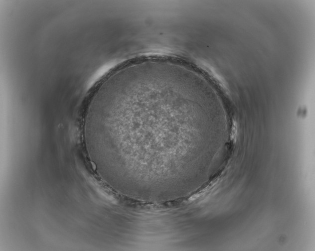 X0000092001208200709131507