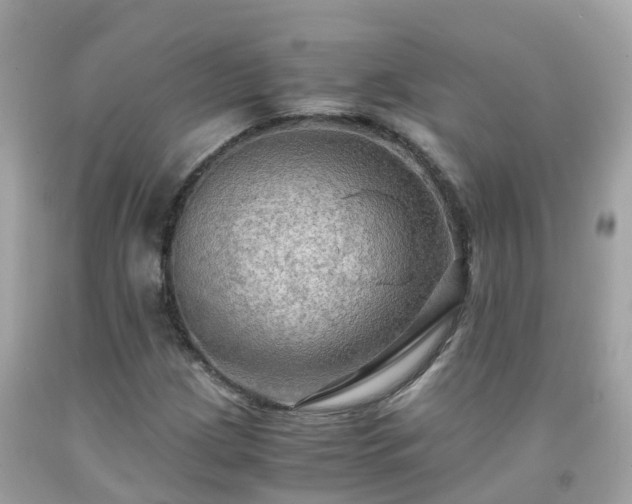 X0000092001209200709131507