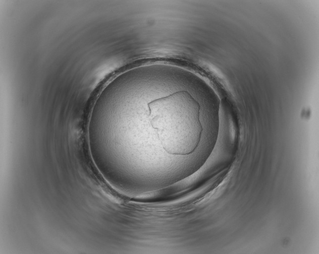 X0000092001210200709131507