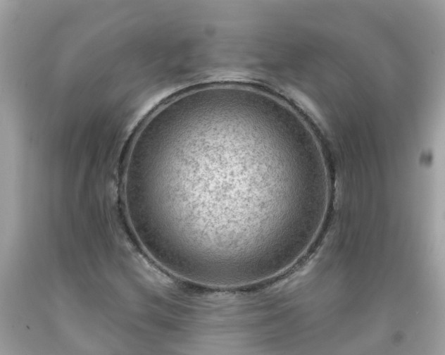 X0000092001212200709131508