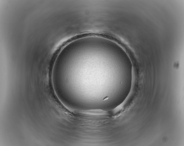 X0000092001214200709131508