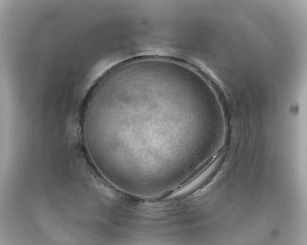 X0000092001215200709131508