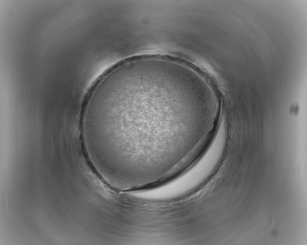 X0000092001216200709131508