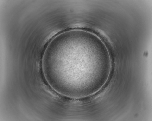 X0000092001217200709131508