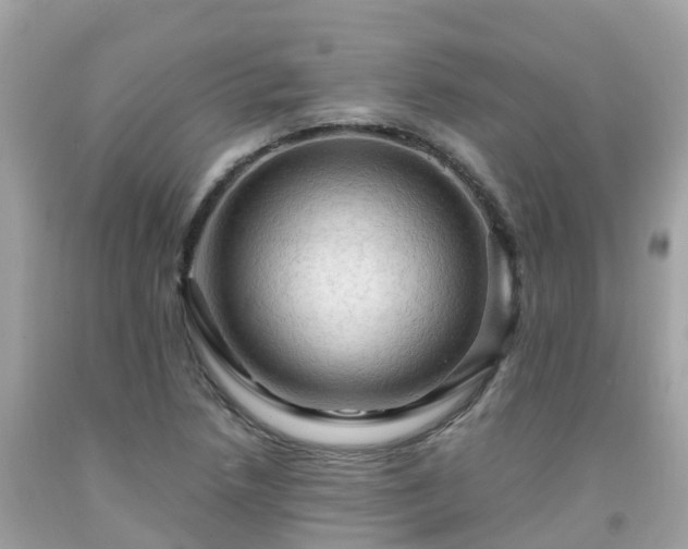 X0000092001218200709131508