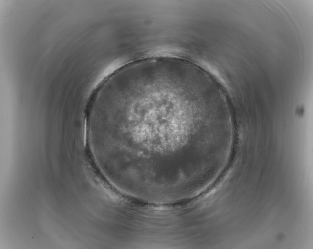 X0000092001219200709131508