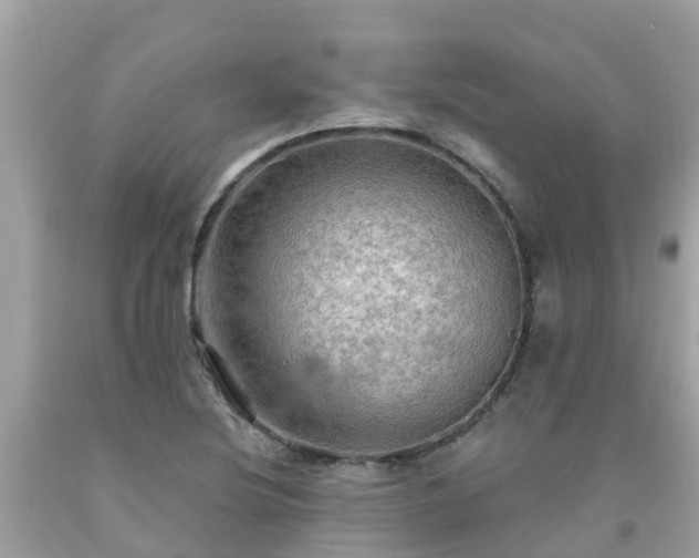 X0000092001220200709131508