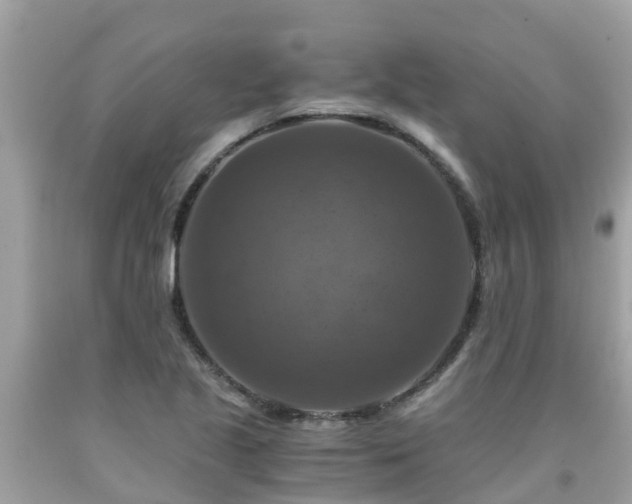 X0000092001221200709131508