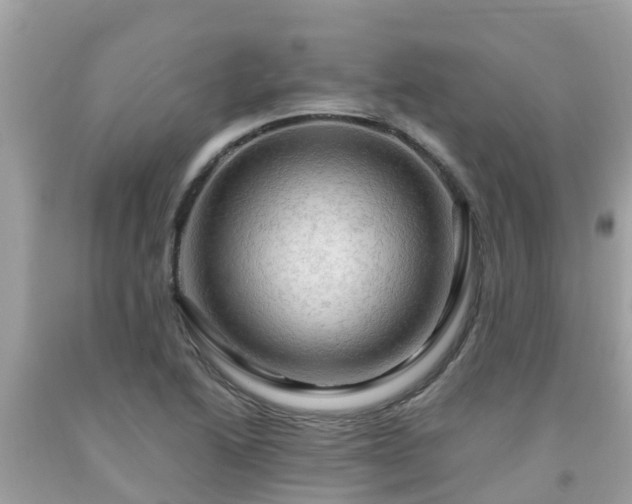 X0000092001222200709131508