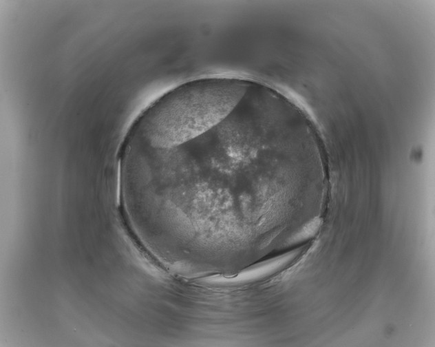 X0000092001223200709131508