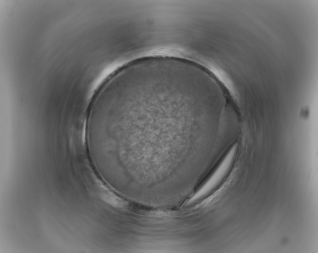 X0000092001224200709131508