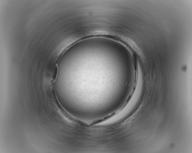 X0000092001225200709131508