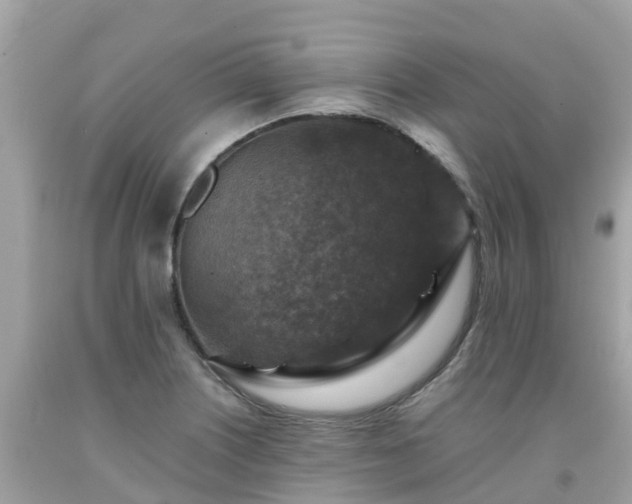 X0000092001226200709131508