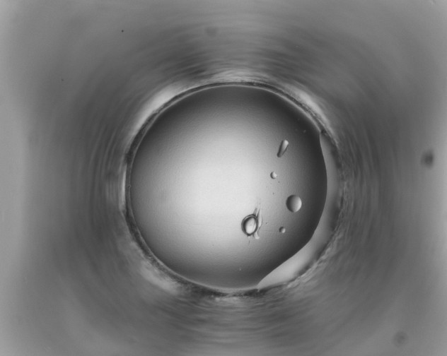 X0000092001227200709131508