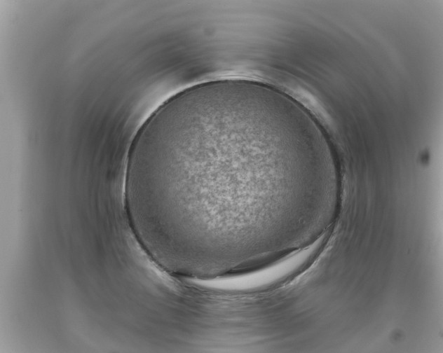 X0000092001228200709131508