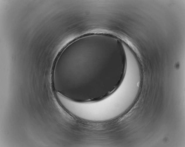 X0000092001229200709131508