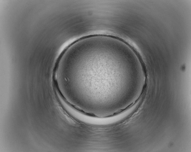 X0000092001230200709131508