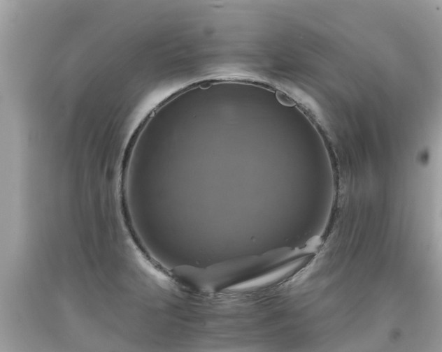 X0000092001231200709131508