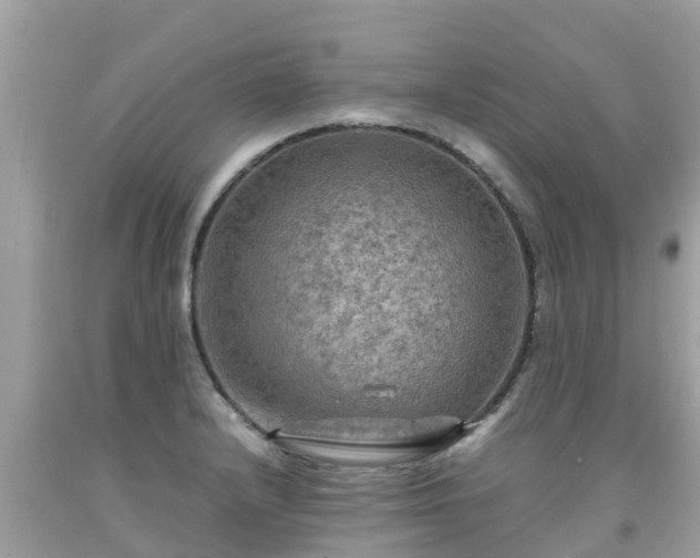 X0000092001232200709131508