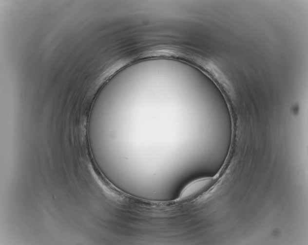 X0000092001233200709131508