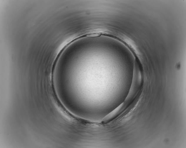 X0000092001234200709131508