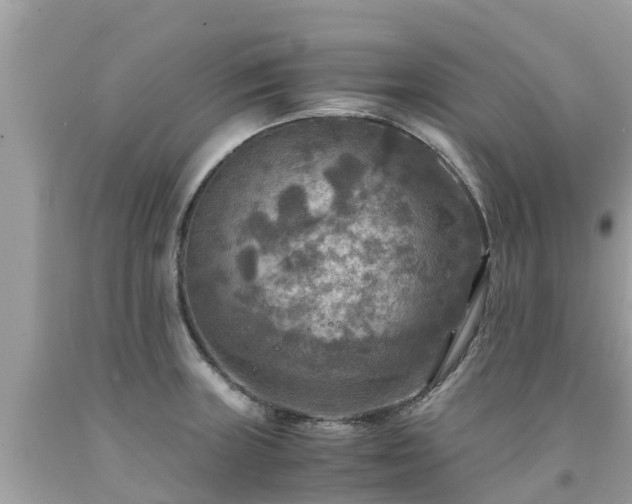 X0000092001235200709131508