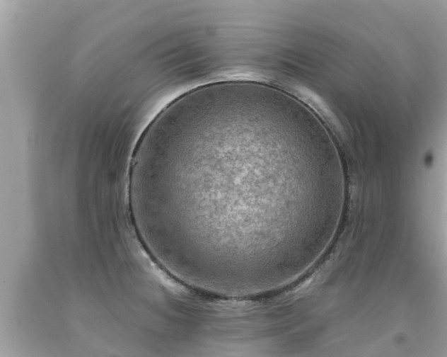 X0000092001236200709131508