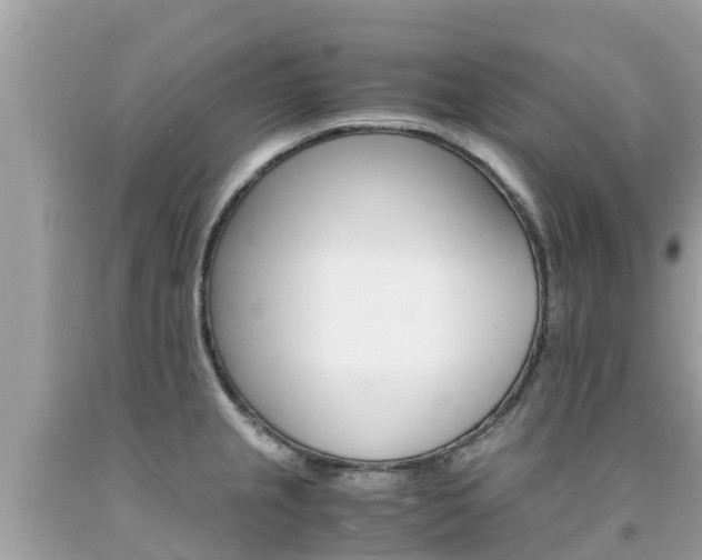 X0000092001237200709131508