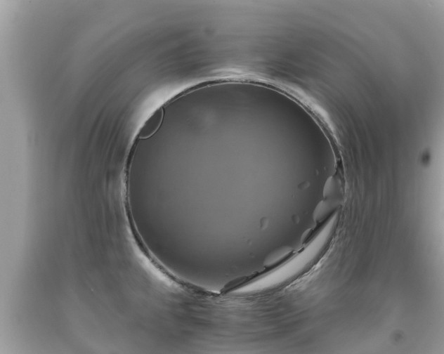 X0000092001239200709131508