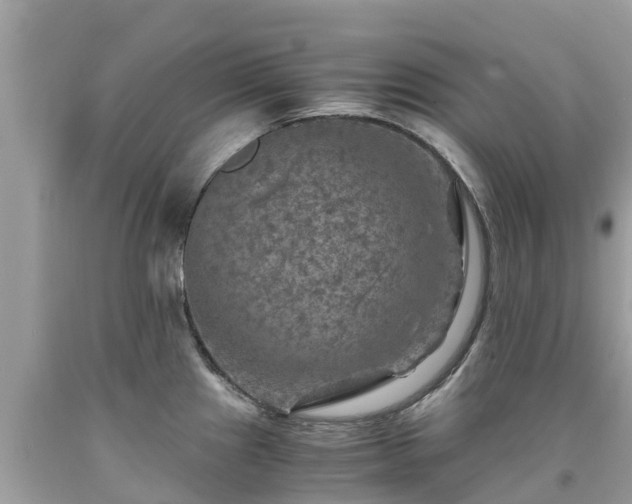 X0000092001241200709131508