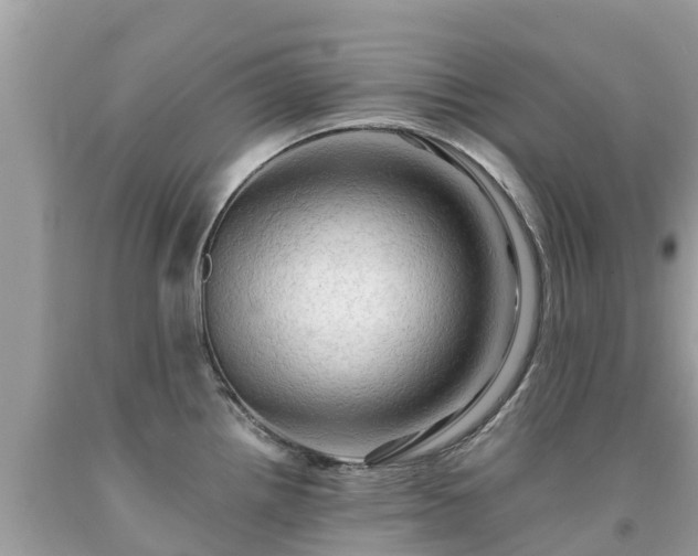 X0000092001242200709131508