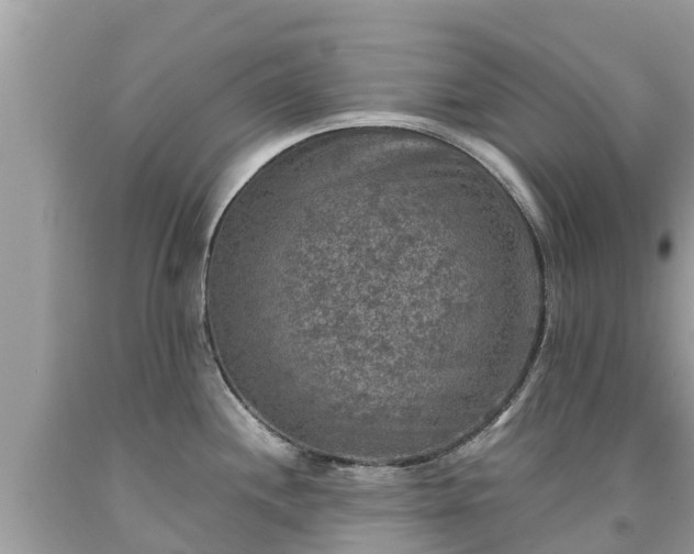 X0000092001244200709131508