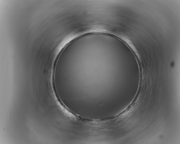 X0000092001245200709131508