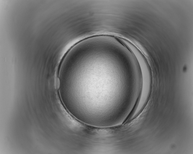 X0000092001246200709131508