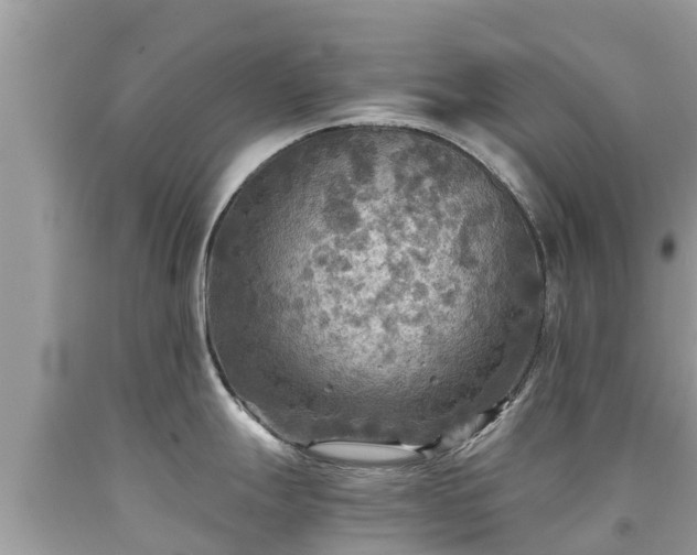 X0000092001247200709131508